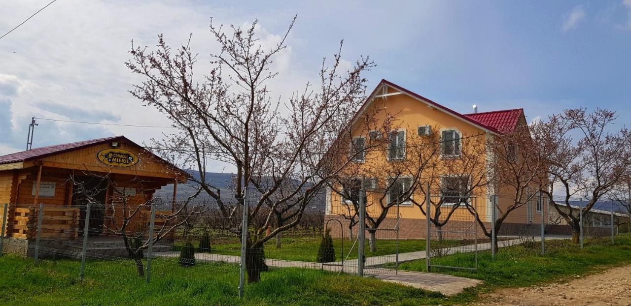 Conacul Mierii Villa Straseni Exterior foto